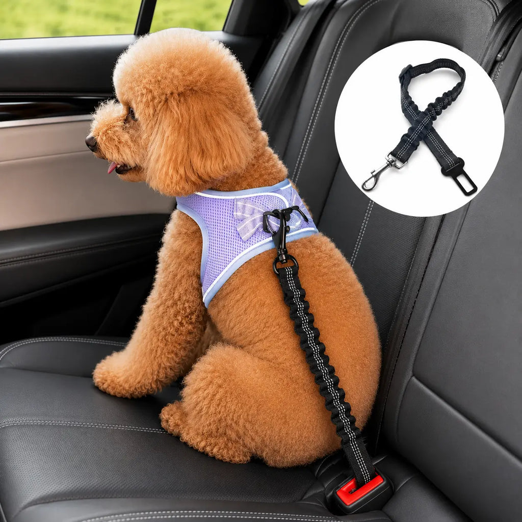 Dog Seat Belt – Shockproof Adjustable Car Safety Leash Fursera