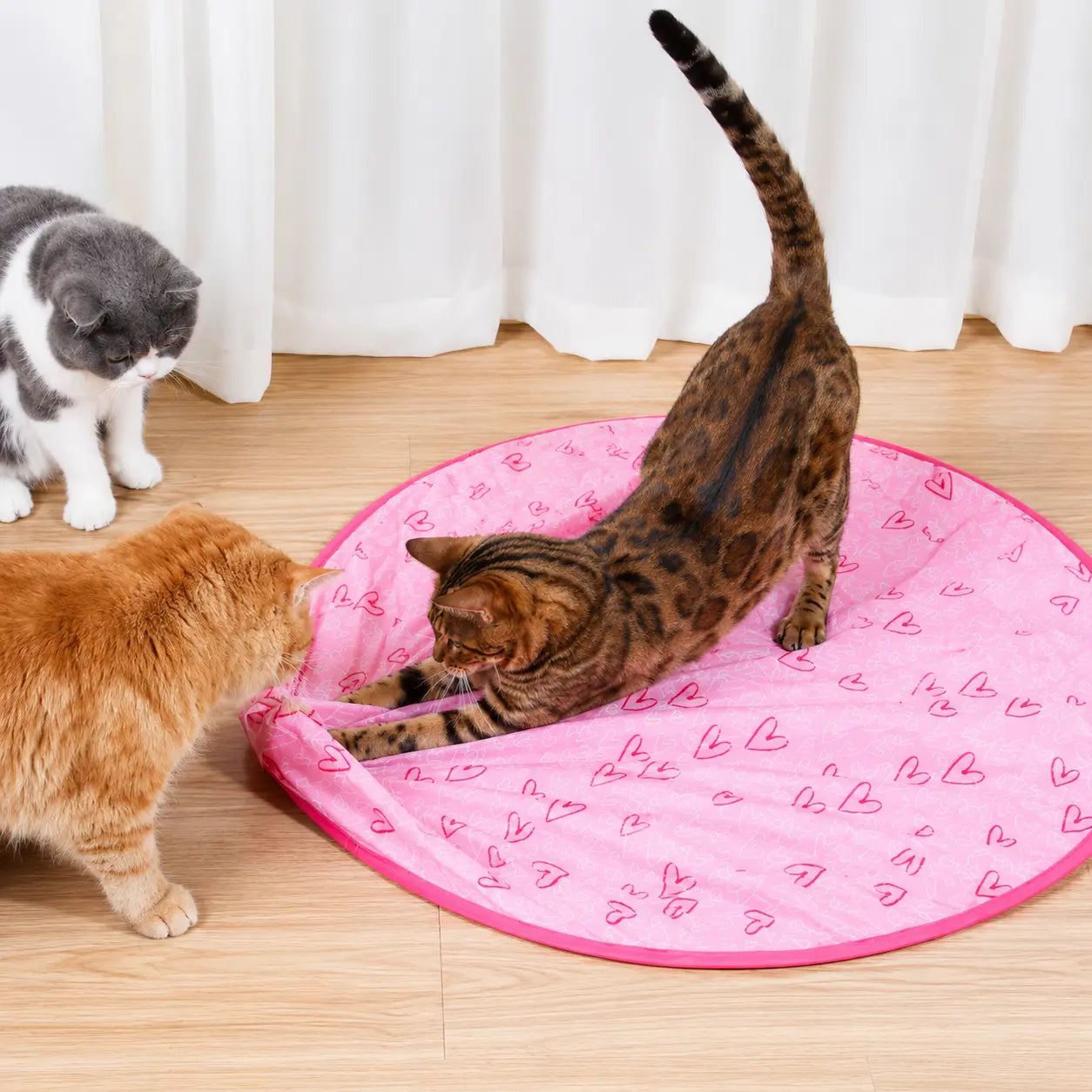 Interactive Cat Chase Toy – Engaging, Stimulating Play for Indoor Cats Fursera
