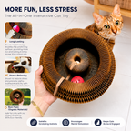 Interactive Honeycomb Cat Scratcher Lounge