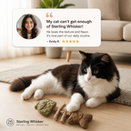 Fish Bone Cat Dental Chew Toy