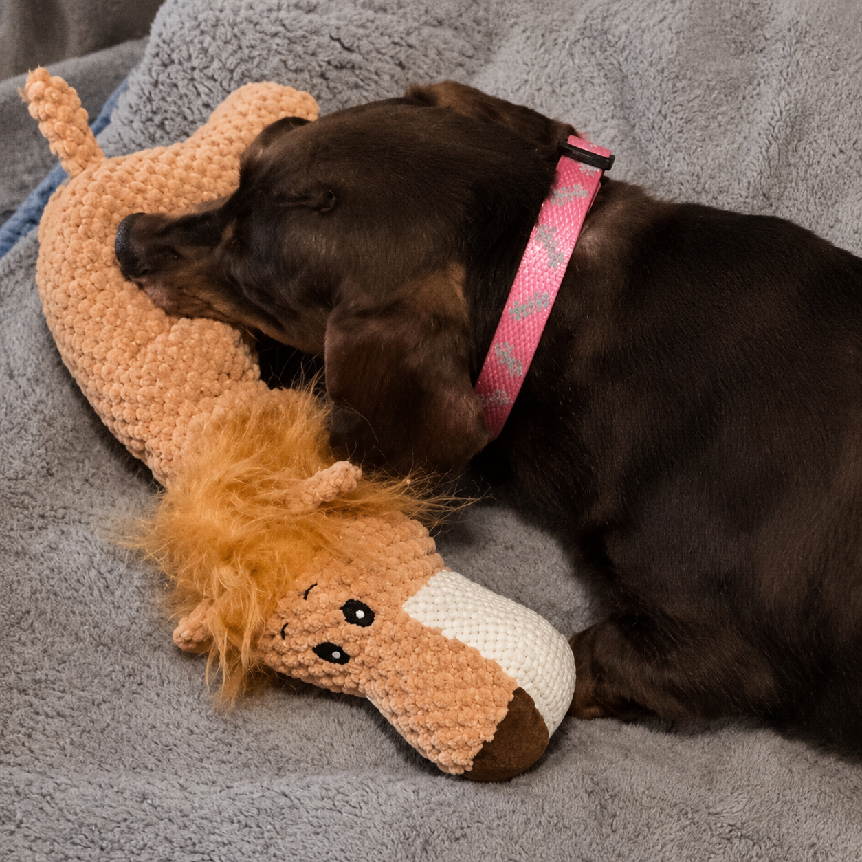 Interactive Dog Chew Toys with Squeakers