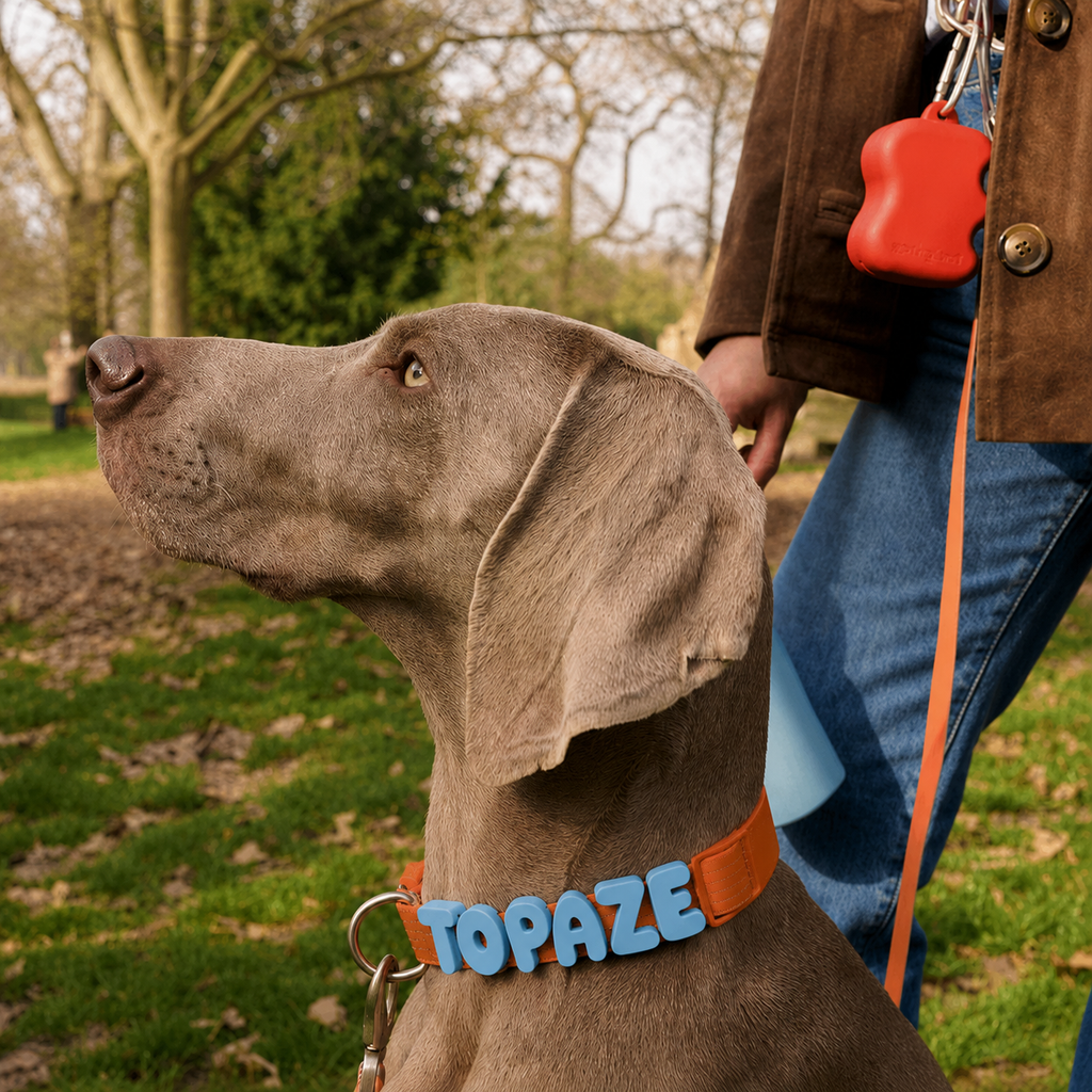 Waterproof Dog Collar with Custom Name Charms