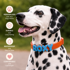 Waterproof Dog Collar with Custom Name Charms