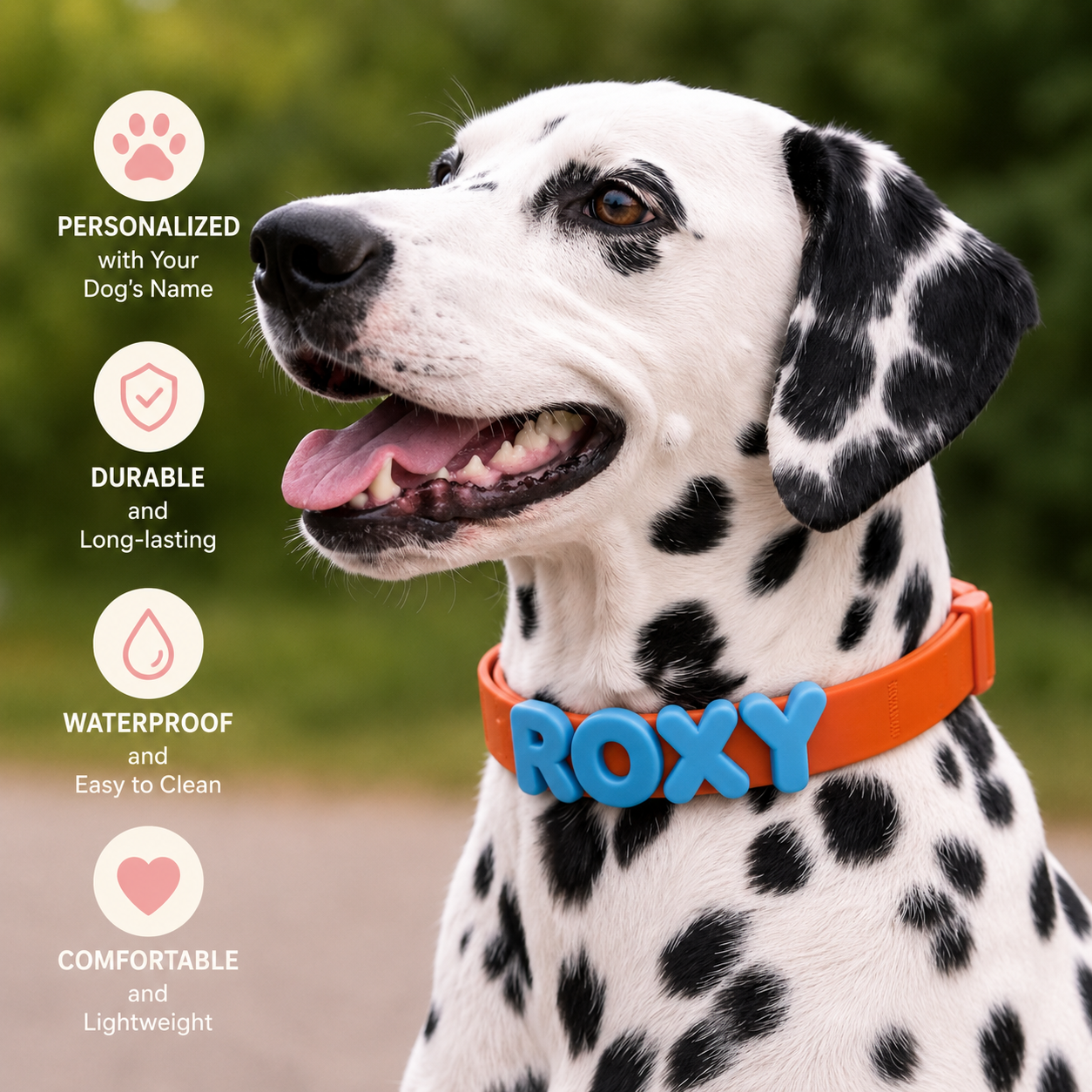 Waterproof Dog Collar with Custom Name Charms