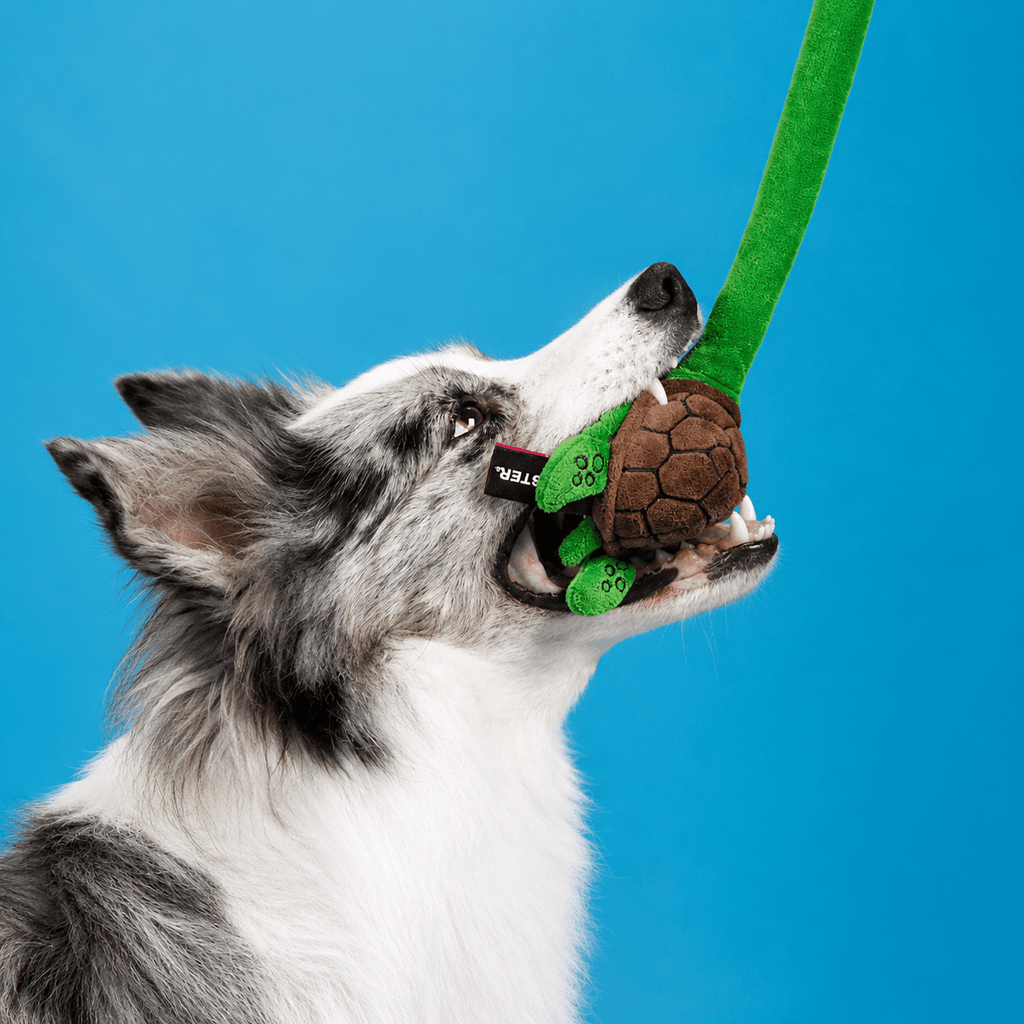 Long Plush Squeaky Dog Toy – Durable Interactive Tug-of-War Chew Toy