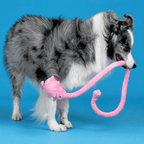 Long Plush Squeaky Dog Toy – Durable Interactive Tug-of-War Chew Toy