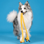 Long Plush Squeaky Dog Toy – Durable Interactive Tug-of-War Chew Toy