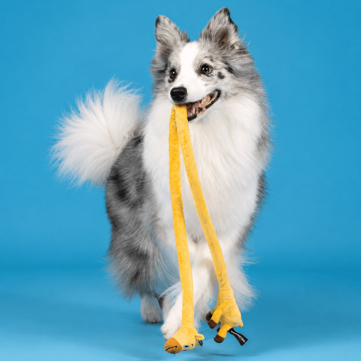 Long Plush Squeaky Dog Toy – Durable Interactive Tug-of-War Chew Toy