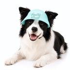 Pet Cooling Fan Hat