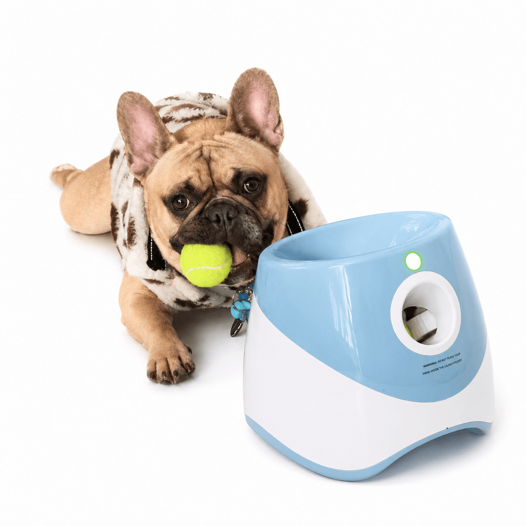 Automatic Dog Ball Launcher with 3 Tennis Balls – Interactive Fetch Toy for Dogs