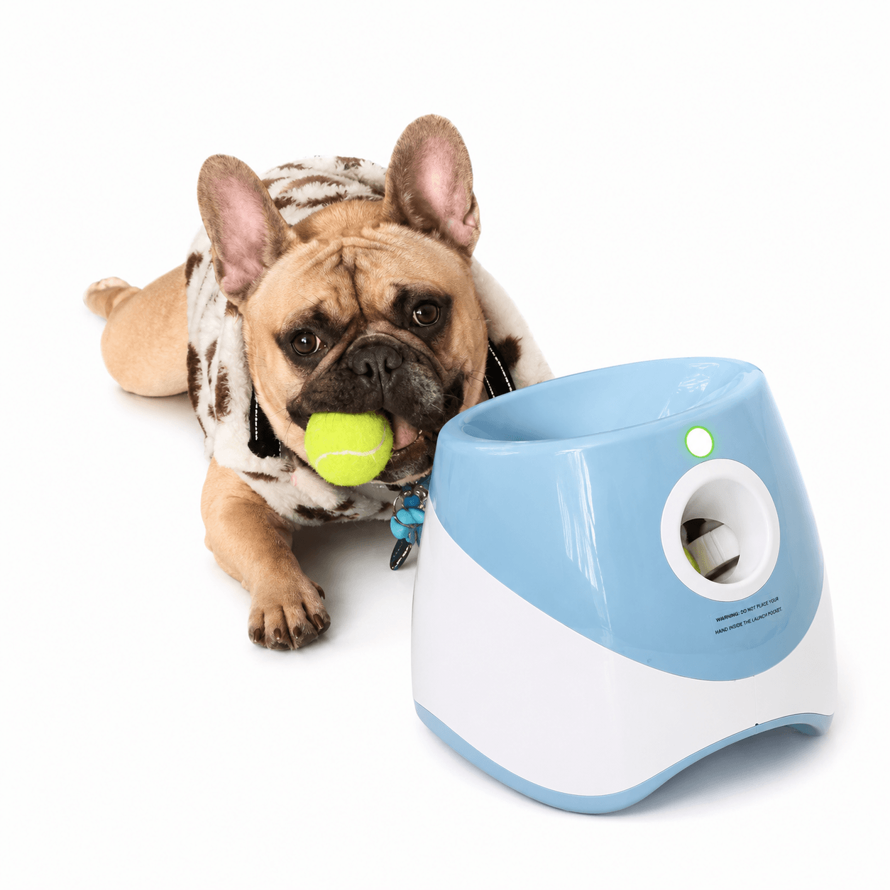 Automatic Dog Ball Launcher with 3 Tennis Balls – Interactive Fetch Toy for Dogs