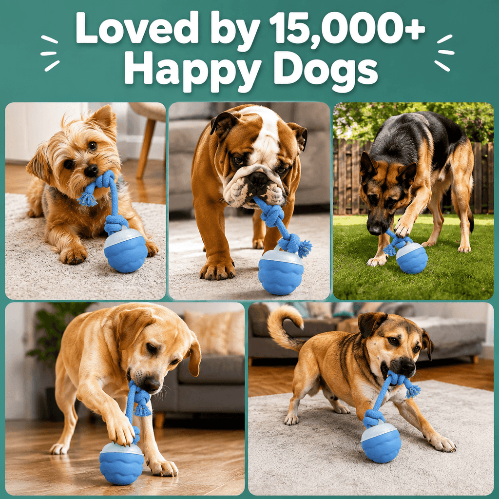 Smart Interactive Dog Ball Toy, Automatic Rolling Rope Toy Fursera