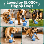Smart Interactive Dog Ball Toy, Automatic Rolling Rope Toy Fursera