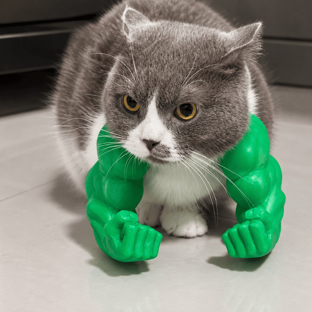 3D Printed Funny Cat Muscle Arms
