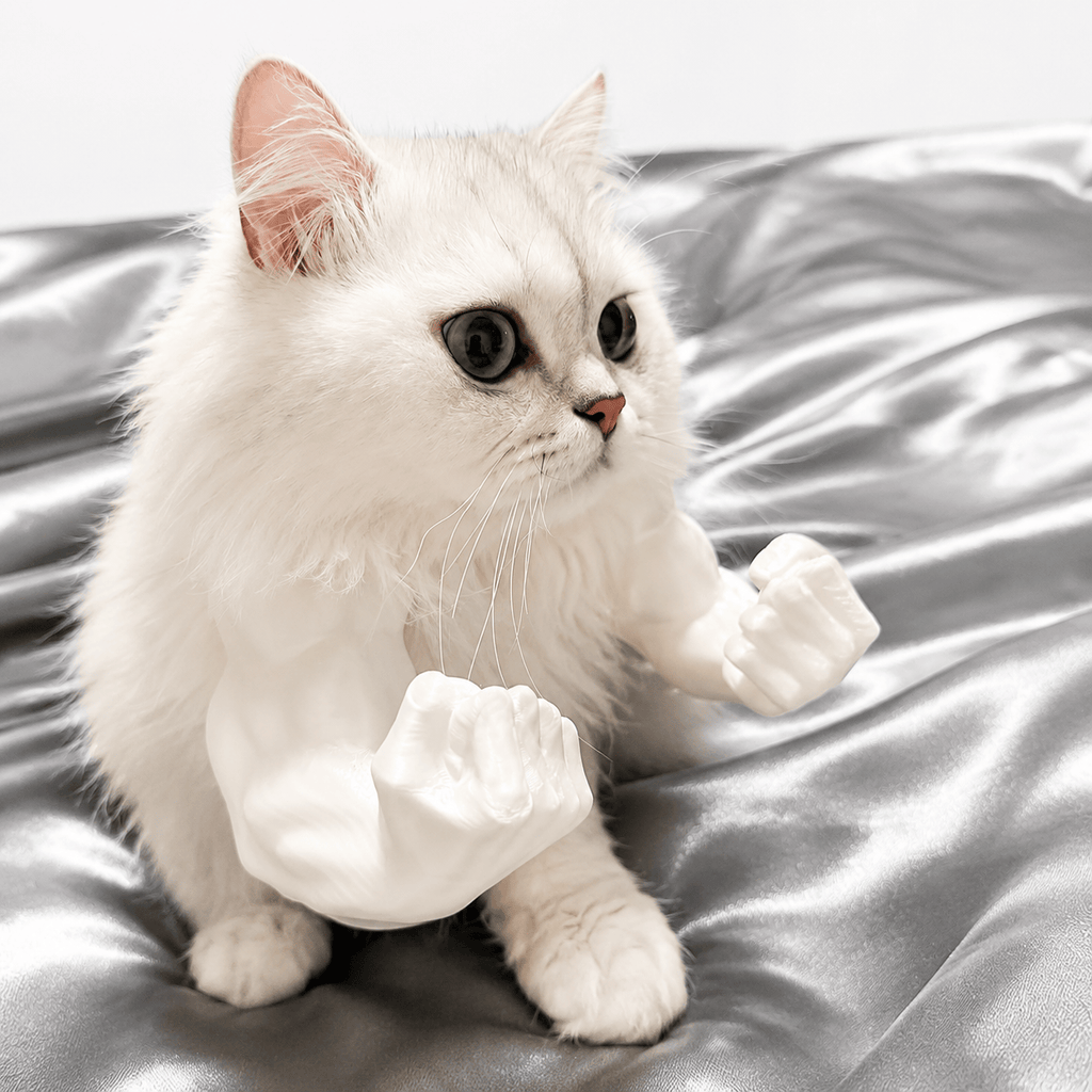 3D Printed Funny Cat Muscle Arms