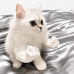3D Printed Funny Cat Muscle Arms