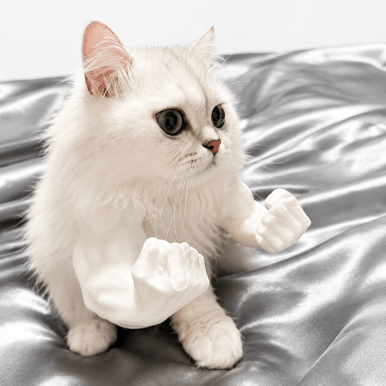 3D Printed Funny Cat Muscle Arms