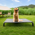 Raised Dog Bed with Breathable Mesh