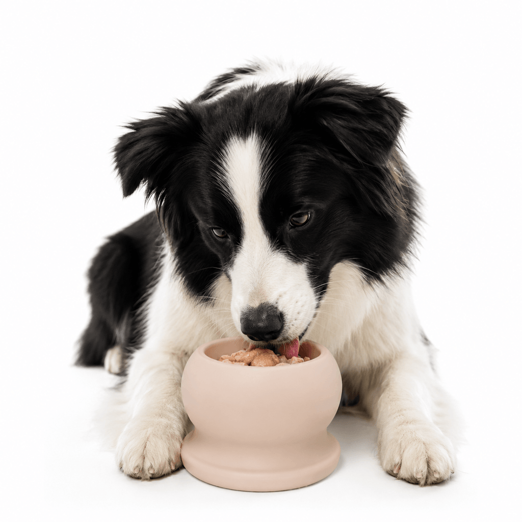 Frozen Fillable Dog Chew Toy