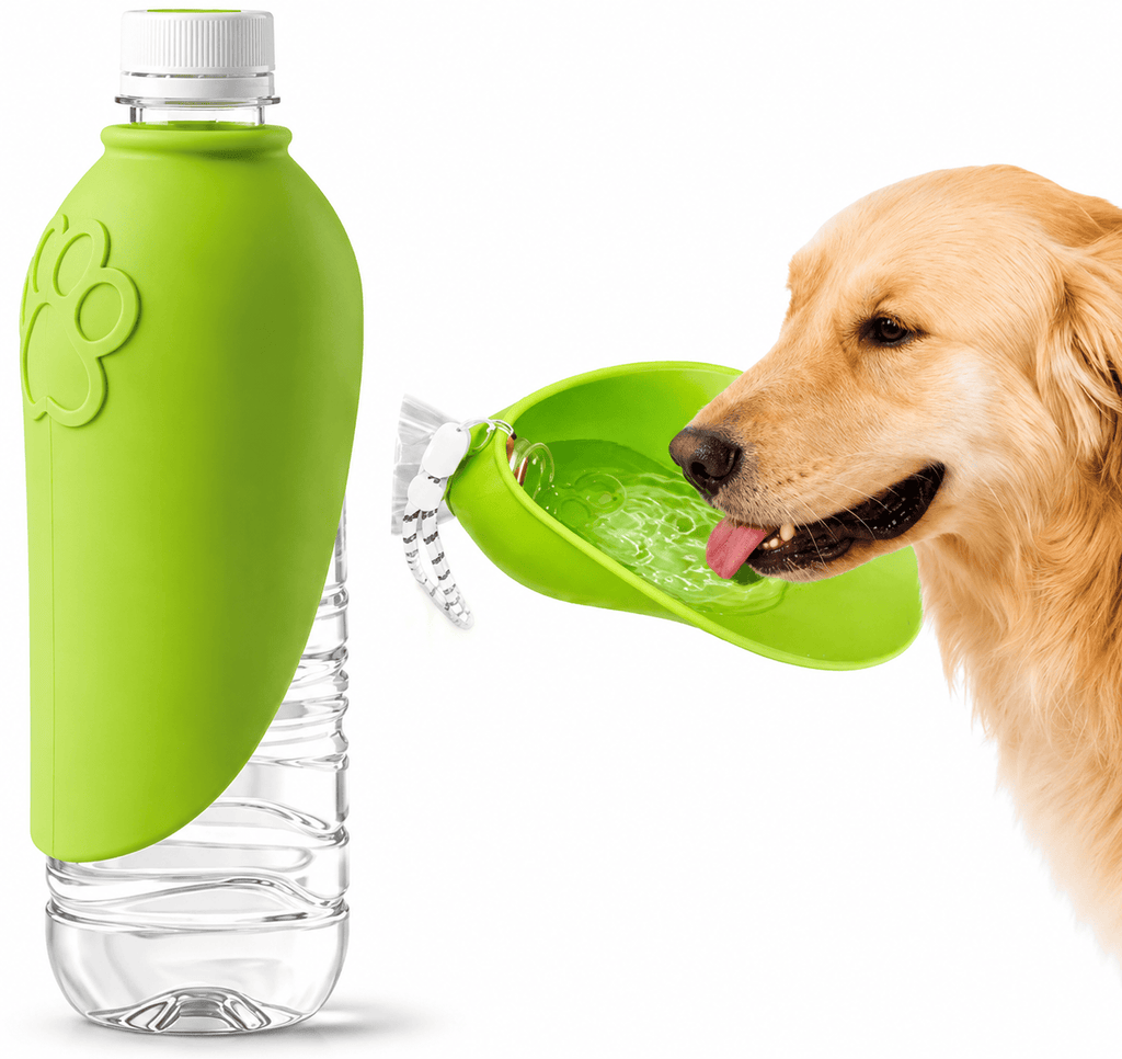 Portable Dog Water Bottle – Hydration Anywhere