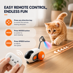 Interactive Remote Control Rechargeable Exercise Robot Toy