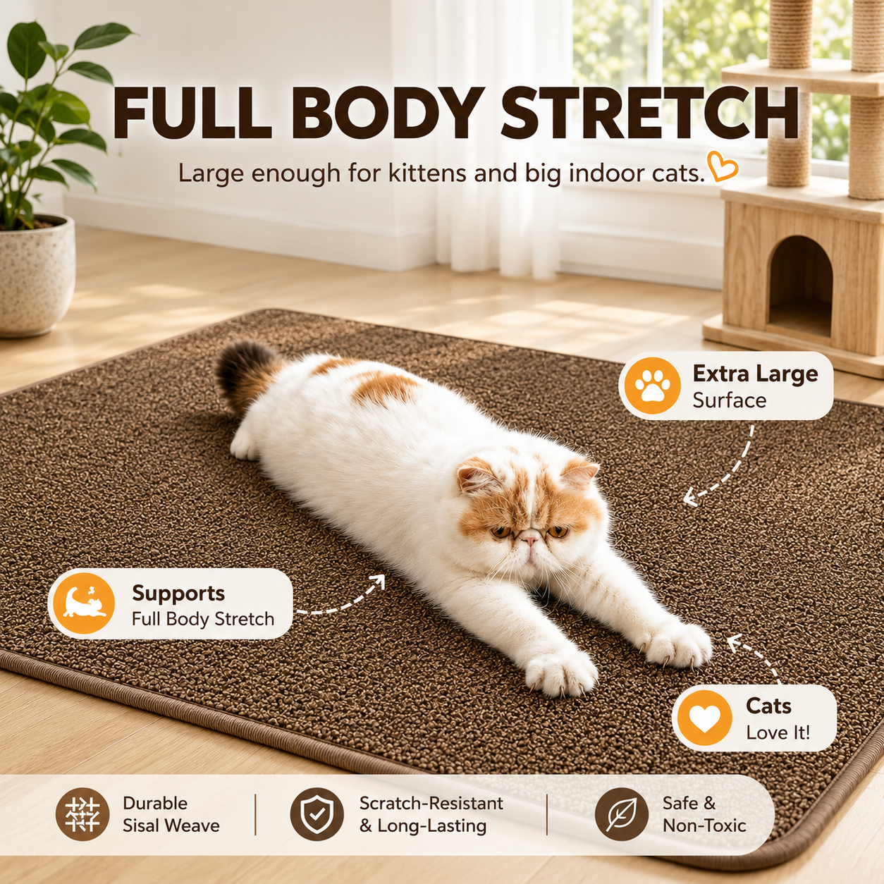 Cat Scratching Mat