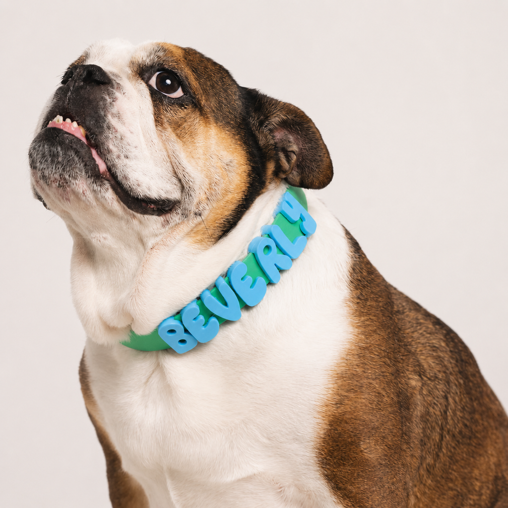 Waterproof Dog Collar with Custom Name Charms