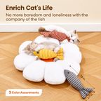 3PCS Catnip Fish Toy Set