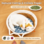3PCS Catnip Fish Toy Set