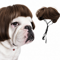Funny Dog Wig for Cats & Dogs