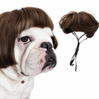 Funny Dog Wig for Cats & Dogs