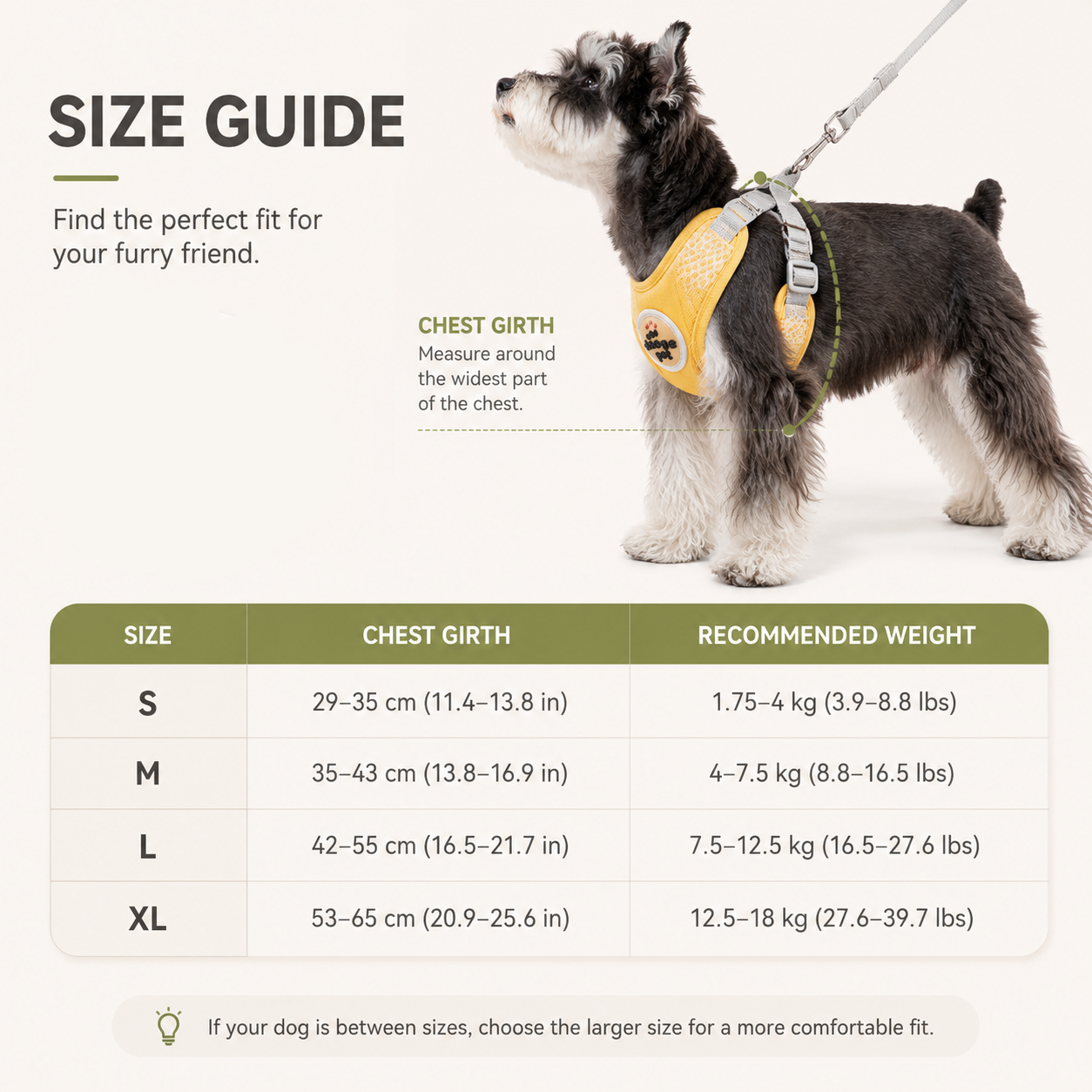 Adjustable No-Pull Dog Harness Set