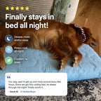 Breathable Cooling Orthopedic Dog Bed