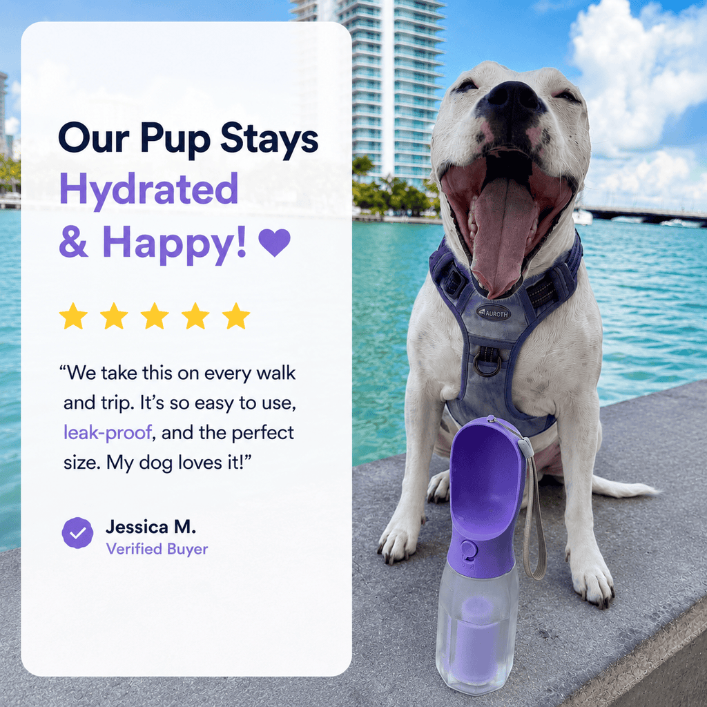 3-in-1 Portable Dog Water Bottle