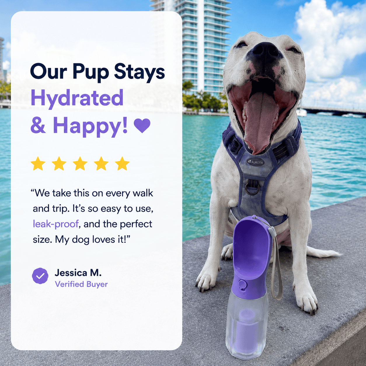 3-in-1 Portable Dog Water Bottle