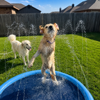Splash Cooling Dog Splash Pad