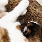 Cardboard Paradise Cat Bed for Stress-Relief, Claw Health & Furniture Safety Fursera