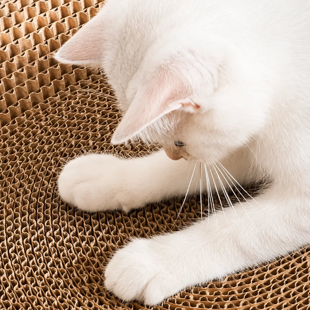 Cardboard Paradise Cat Bed for Stress-Relief, Claw Health & Furniture Safety Fursera
