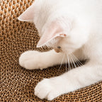 Cardboard Paradise Cat Bed for Stress-Relief, Claw Health & Furniture Safety Fursera