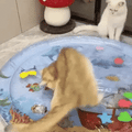 Interactive Cooling Water Mat for Cats Fursera