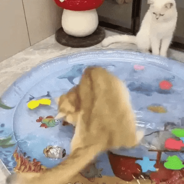 Interactive Cooling Water Mat for Cats Fursera