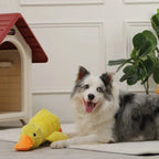 Calming Duck Toy