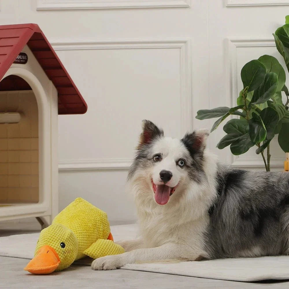 Calming Duck Toy