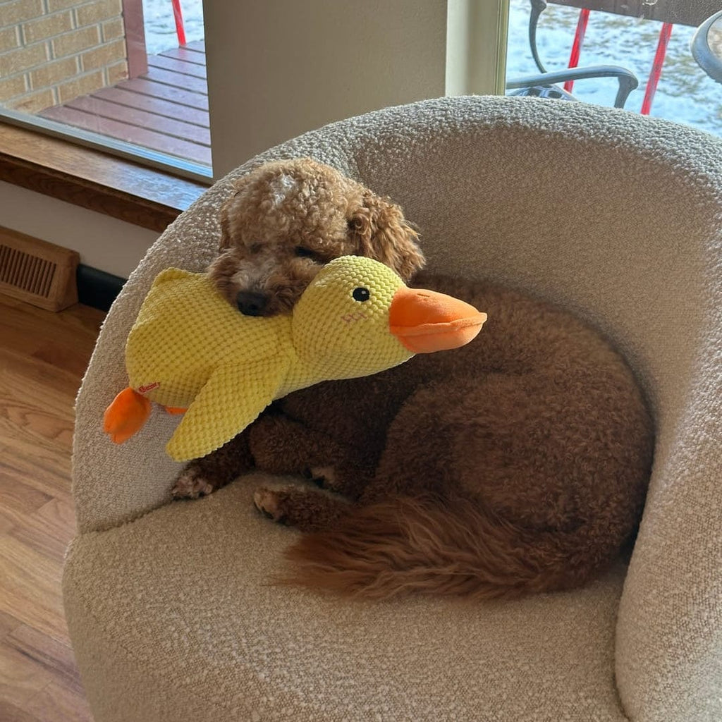 Calming Duck Toy