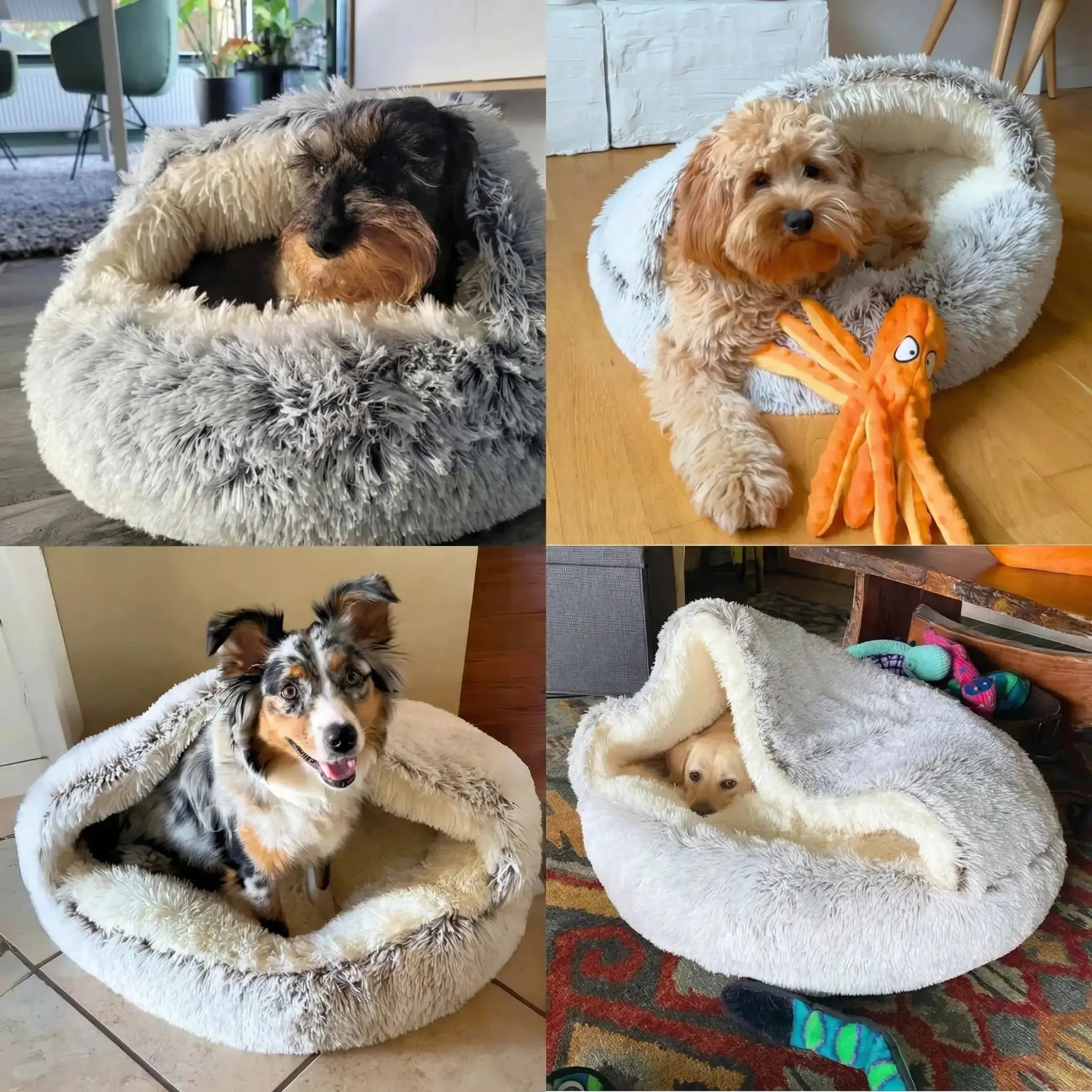 Calming Cowry Pet Bed – Cozy Anti-Anxiety Dog & Cat Bed Fursera