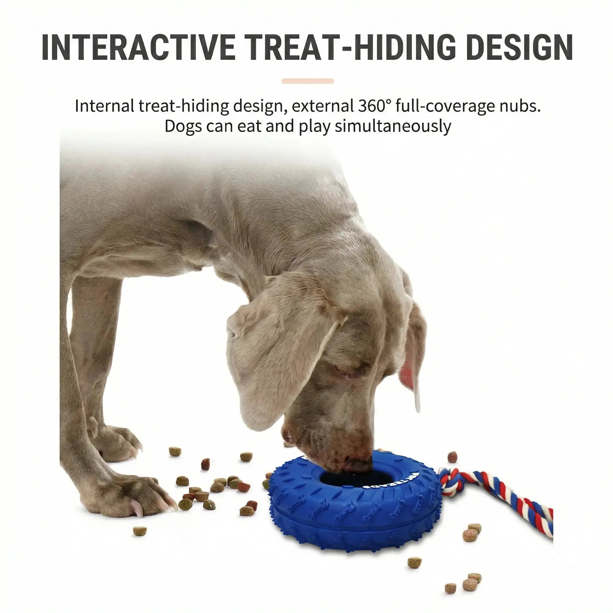 Dog Chew Tire – Tough Rubber Toy for Play & IQ Training STTM