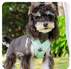 Adjustable No-Pull Dog Harness Set