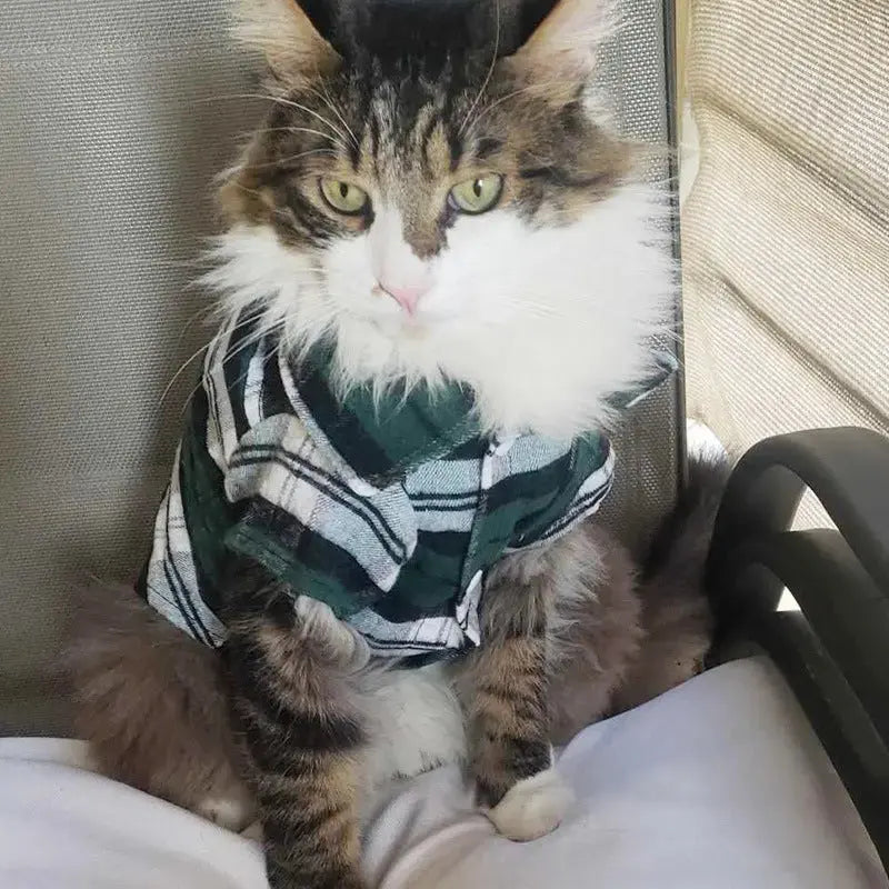 Plaid Pet Shirt – Stylish Dog T-Shirt for Small & Medium Dogs STTM