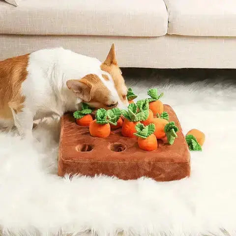 Carrot Garden Interactive Treat-Hiding Toy for Dogs Fursera