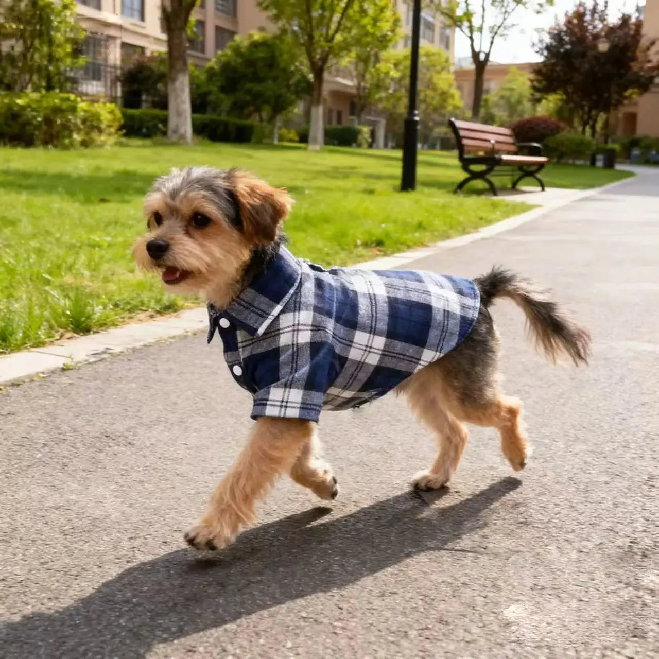 Plaid Pet Shirt – Stylish Dog T-Shirt for Small & Medium Dogs STTM